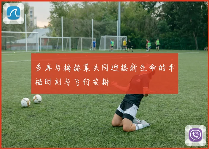 多库与梅赫莱共同迎接新生命的幸福时刻与飞行安排