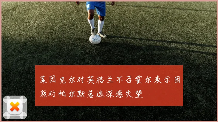 莱因克尔对英格兰不召霍尔表示困惑对帕尔默落选深感失望