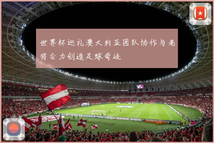世界杯巡礼澳大利亚团队协作与老将合力创造足球奇迹