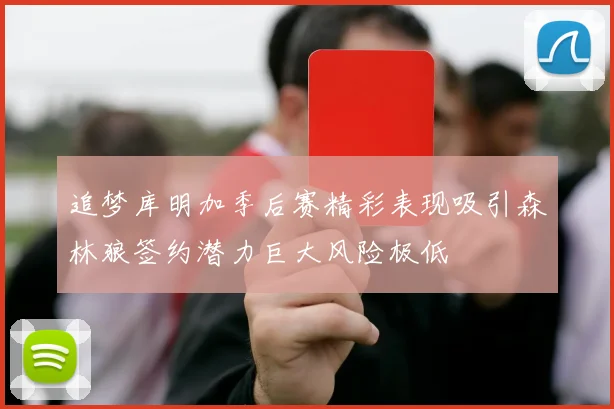 追梦库明加季后赛精彩表现吸引森林狼签约潜力巨大风险极低